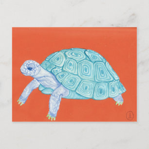 Blue Turtle Postcard