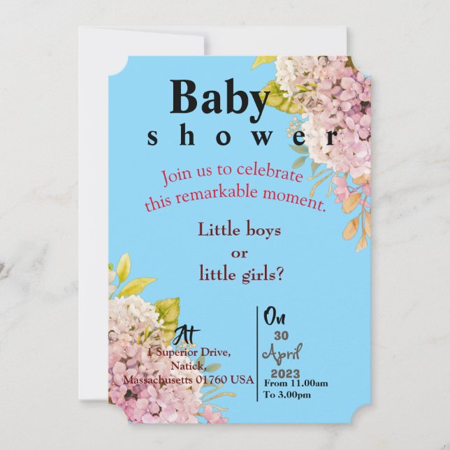 Blue Twin Baby  invitation (Front)