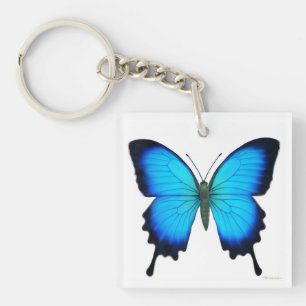 Blue Ulysses Butterfly Keychain