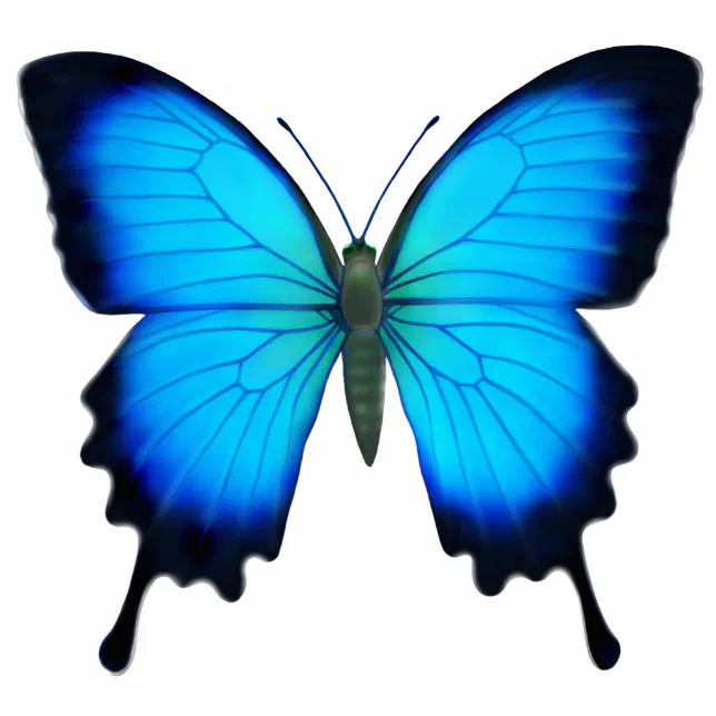 Blue deals butterfly pin