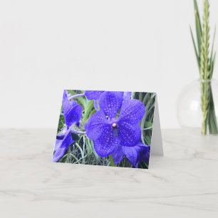 Blue Vanda Orchids All Purpose Greeting Card