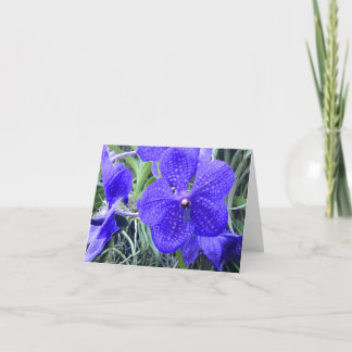 Blue Vanda Orchids All Purpose Greeting Card