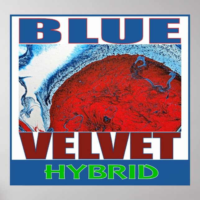 BLUE VELVET HYBRID POSTER (Front)