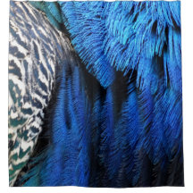 Blue Velvet Peacock Feathers