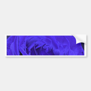 Blue Velvet Rose Bumper Sticker