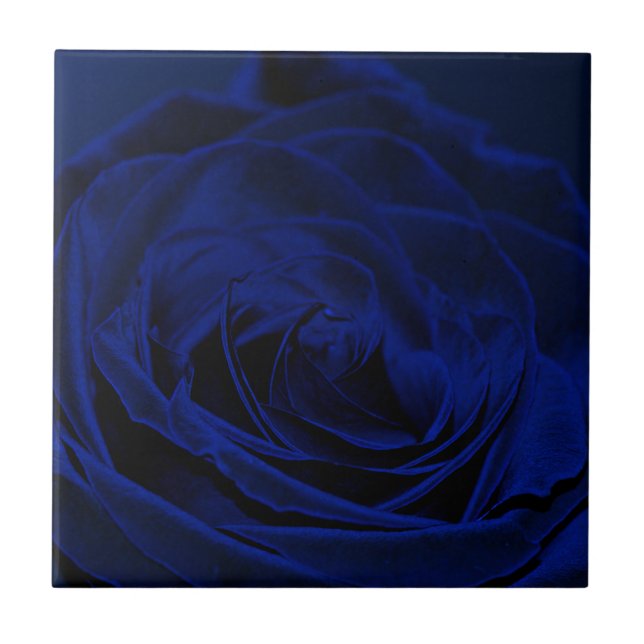 Blue Velvet rose.jpg Ceramic Tile (Front)