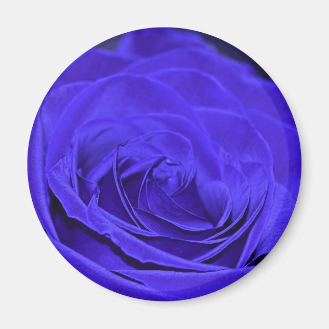 Blue Velvet Rose Magnet (Front)
