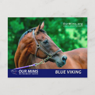 Blue Viking postcard