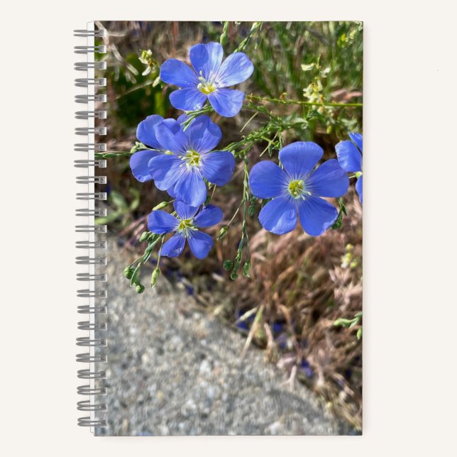 Blue Violet Flower Journal (Front)