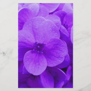 Blue Violet Hydrangea Stationery