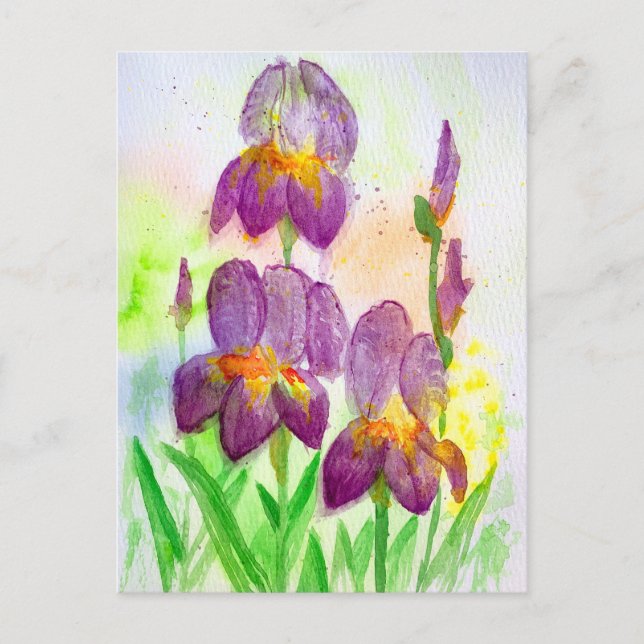 Blue-Violet Irises in Watercolor Painting Holiday Postcard (Front)