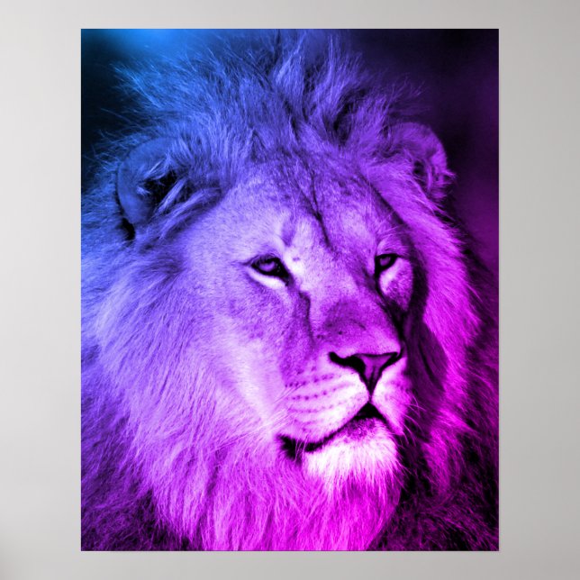 Blue Violet Lion - Animal Photography Art Poster (Front)