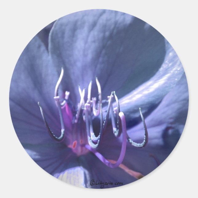 Blue Violet Wedding Envelope Seal Sticker (Front)