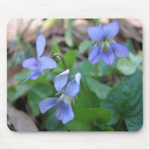 Blue Violets Mousepad