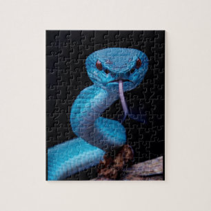 Blue viper snake 110 piece Puzzle