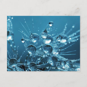 Blue Water Drops Postcard