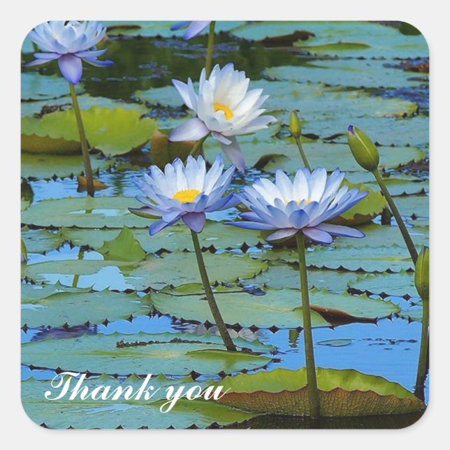 Blue water lilies thank you sticker (Front)
