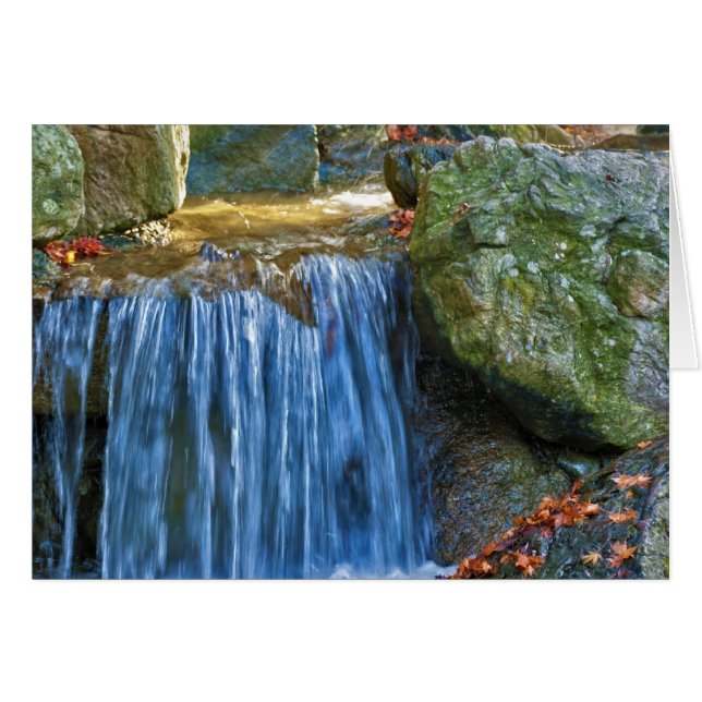 Blue Water Spring (Front Horizontal)