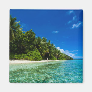 Blue Waters Of A Tropical Beach Magnet