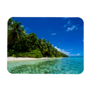 Blue Waters Of A Tropical Beach Magnet