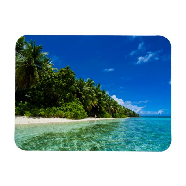 Blue Waters Of A Tropical Beach Magnet (Horizontal)