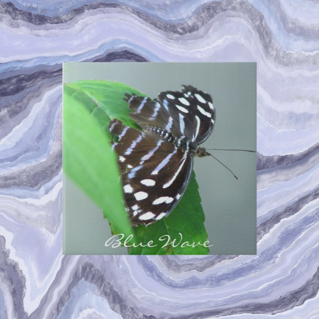 Blue Wave Butterfly on Leaf Photo Ceramic Tile (In Situ)