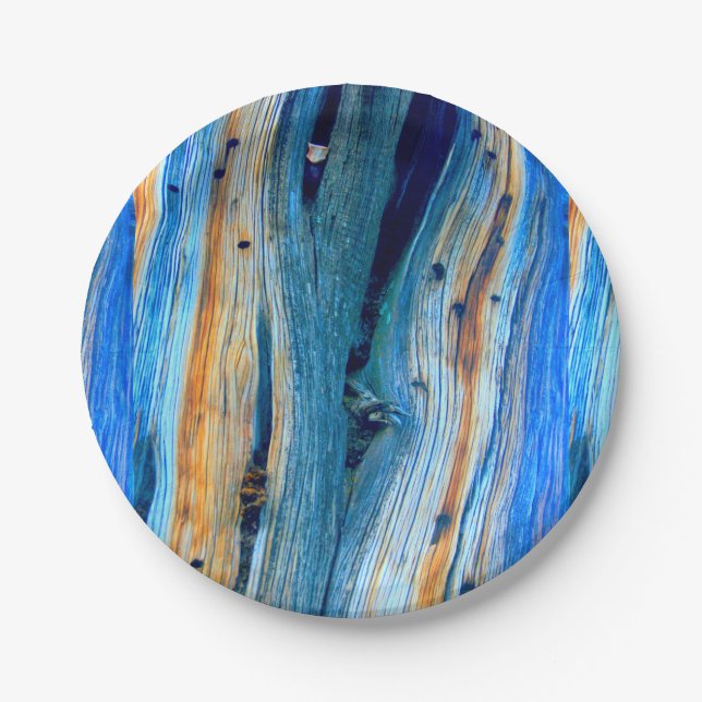 blue weathered barn boards paper plate (Front)