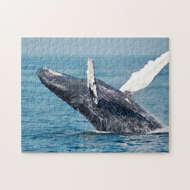 Blue Whale Breaching Photo Puzzle (Horizontal)