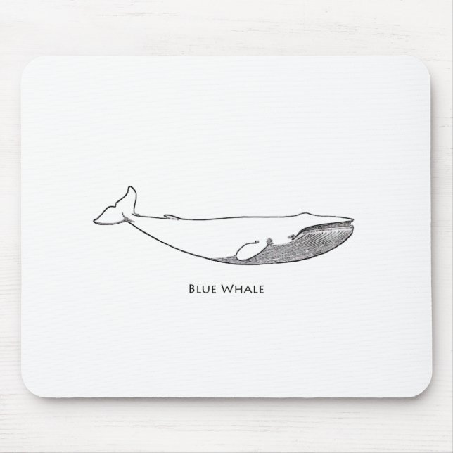 Blue Whale Illustration (line art) Mouse Pad (Front)