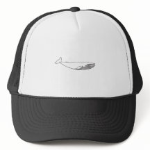 Blue Whale Illustration (line art)