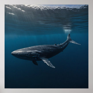Blue Whale Swimming Underwater Poster
