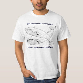 Blue Whale Tee