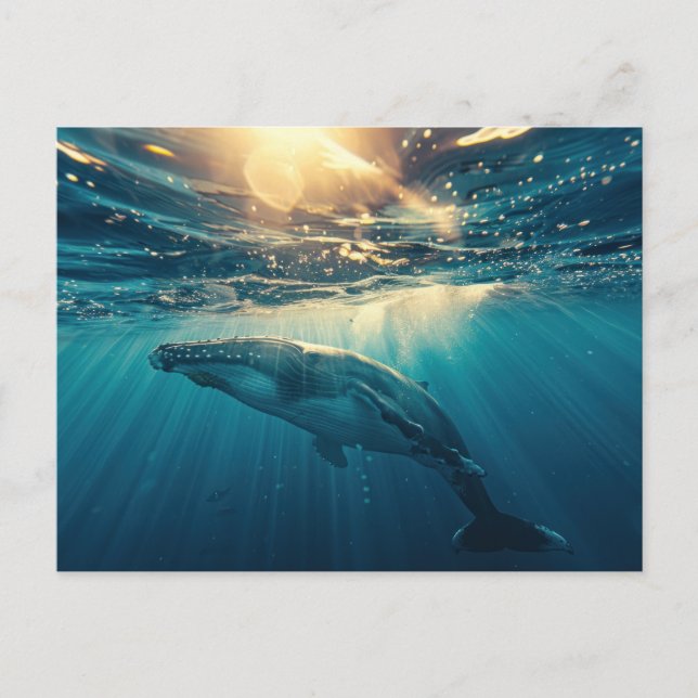 Blue Whale under water   Postcard (Front)