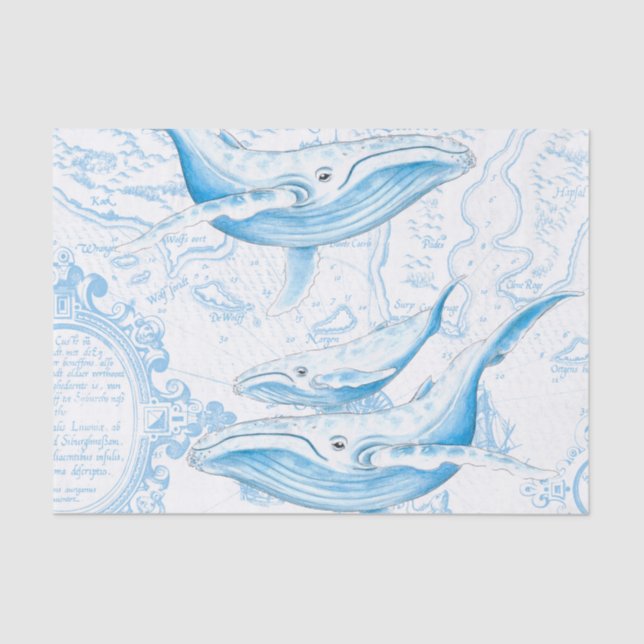 Blue Whales Family White Tissue Paper (Front)