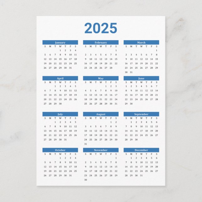 Blue & White 2025 Year at a Glance Calendar Postcard (Front)