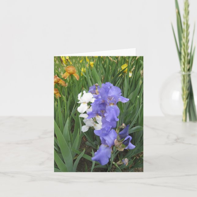 blue white amber small blank note card (Front)