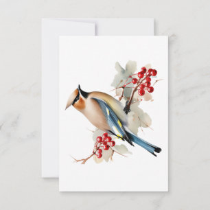 Blue White Bird Funeral Thank You, Sympathy   Card