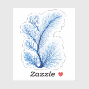 Blue & White Coral Art Mural: Underwater Seascape