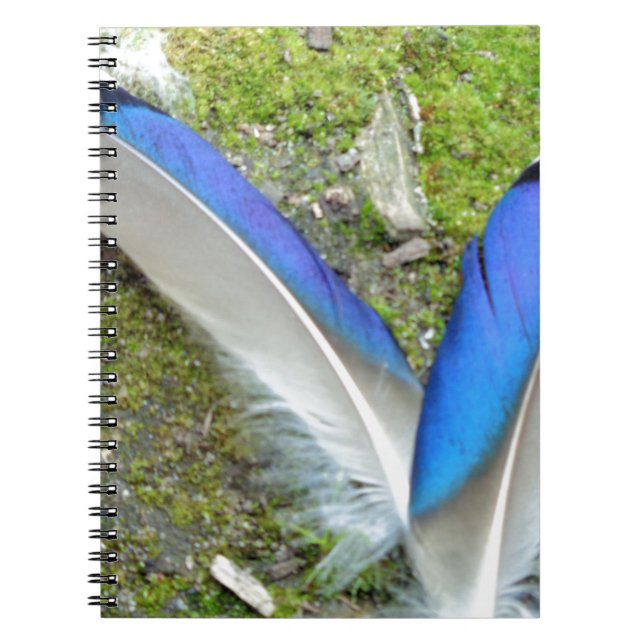 Blue White Duck Feathers, Animal, Bird Notebook (Front)