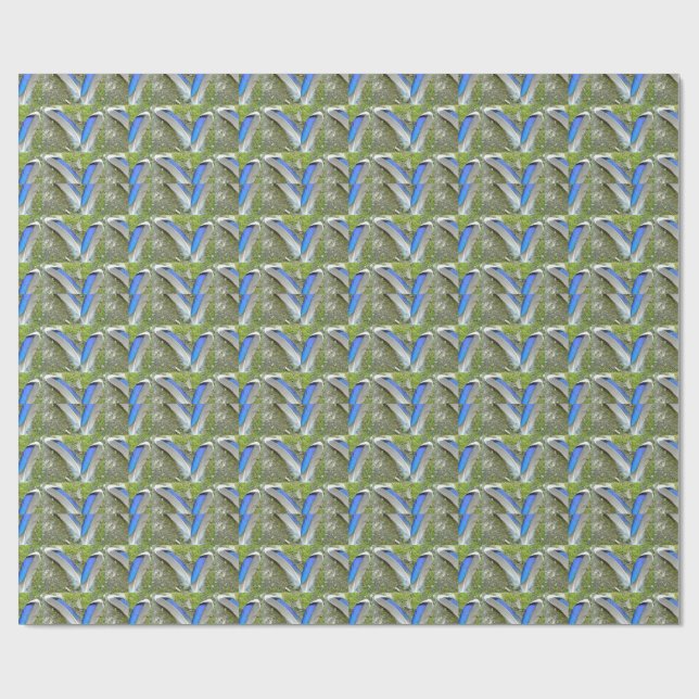 Blue White Duck Feathers, Animal, Bird Wrapping Paper (Flat)