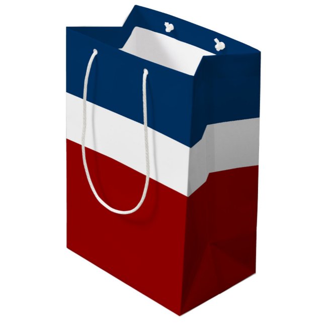Blue White Red Colour Block Style Design  Medium Gift Bag (Creator Uploaded)