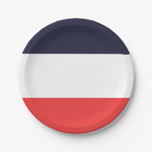 Blue White & Red Stripes Striped Party Paper Plate