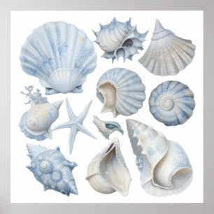 Blue & White Watercolor Seashells – Ocean Nursery  Poster