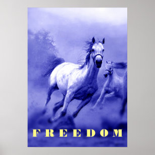 Blue Wild Horses Motivational Freedom Artwork Poster