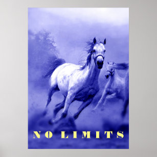 Blue Wild Horses Motivational No Limits Limitation Poster