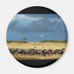 Blue Wildebeest (GNU) Masai Mara Kenya magnets