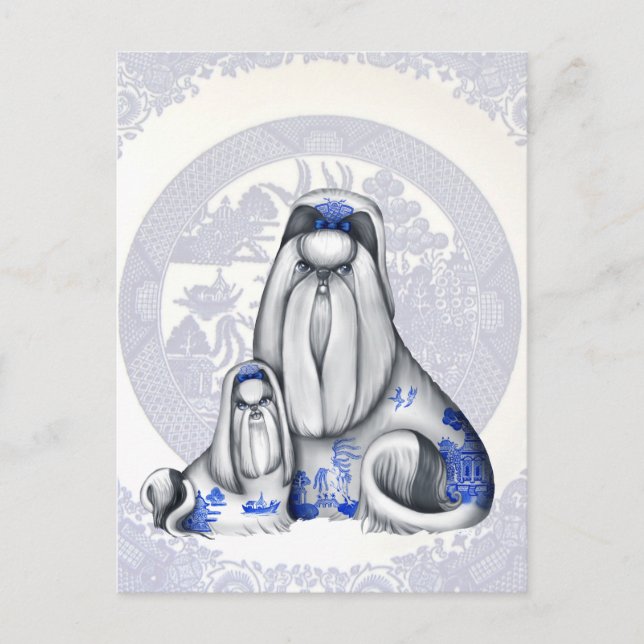 Blue Willow Shih Tzus Postcard (Front)