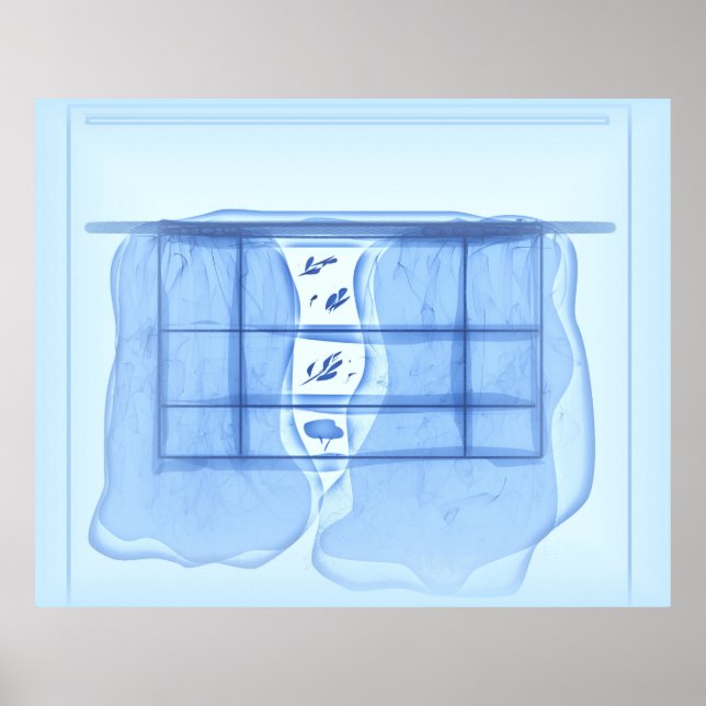 Blue window. poster (Front)