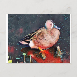Blue Wing teal Postcard