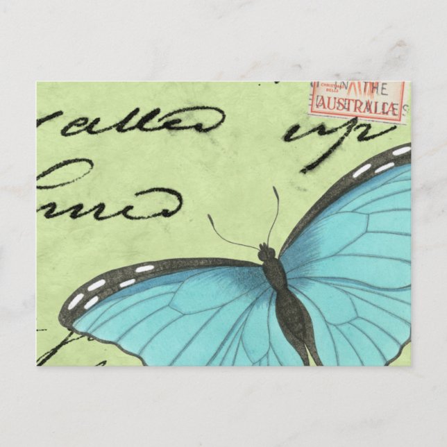 Blue-Winged Butterfly on Teal Postcard (Front)